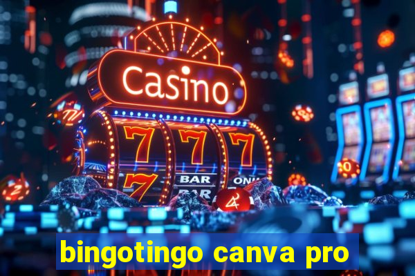 bingotingo canva pro